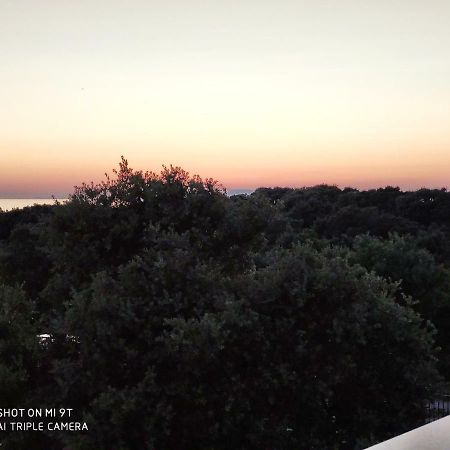 Apartment Feliks Mandre Exterior photo